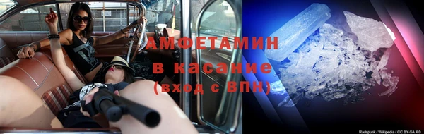 прущие грибы Новозыбков