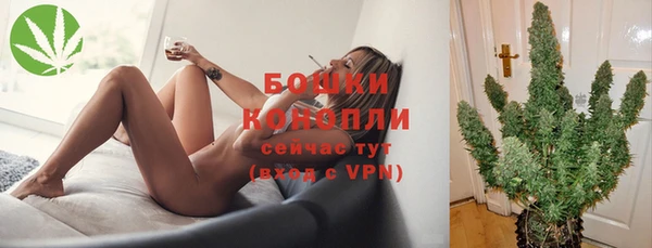 сатива Алагир