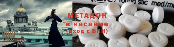 прущие грибы Новозыбков
