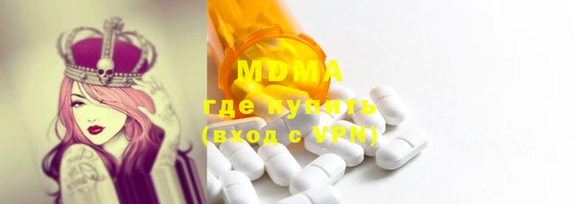 прущие грибы Новозыбков