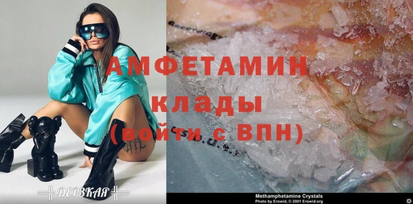 прущие грибы Новозыбков