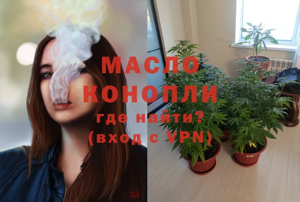 прущие грибы Новозыбков