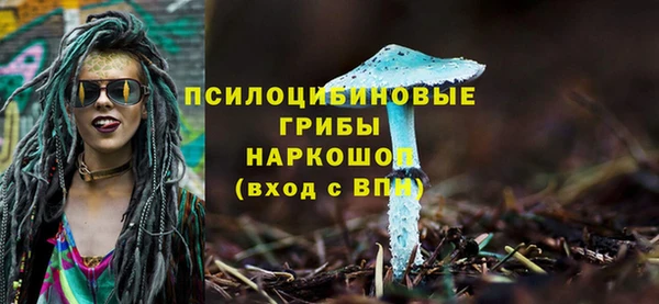 ПСИЛОЦИБИНОВЫЕ ГРИБЫ Кущёвская