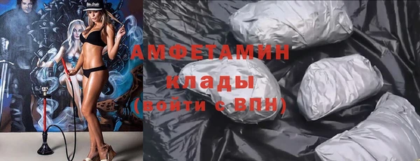 прущие грибы Новозыбков