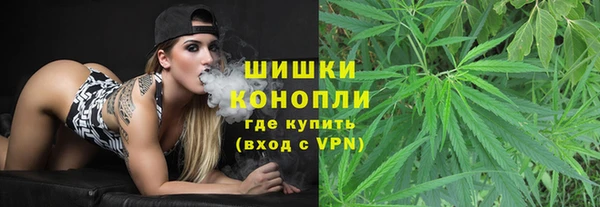 ПСИЛОЦИБИНОВЫЕ ГРИБЫ Александровское