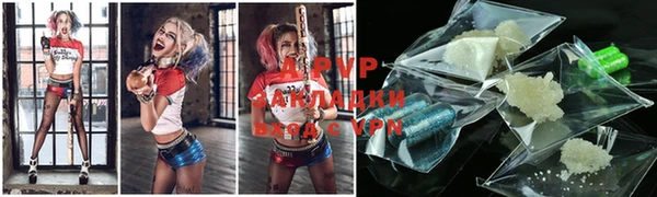 стафф Новокубанск