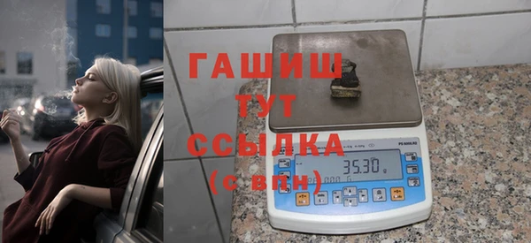 прущие грибы Новозыбков