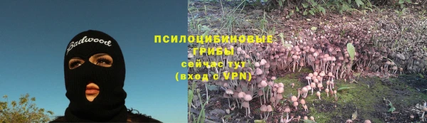 прущие крисы Новодвинск