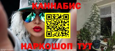 бошки Жуковский