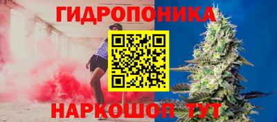 бошки Жуковский