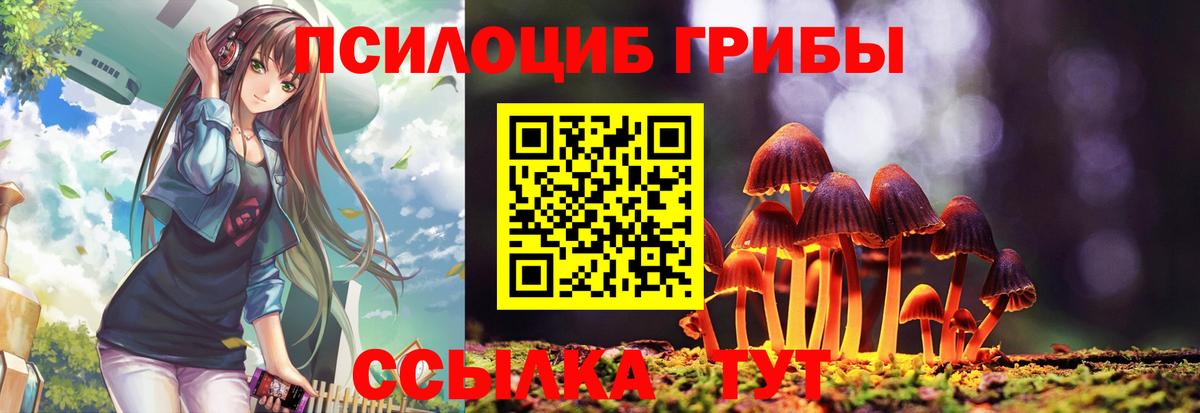 Галлюциногенные грибы Psilocybe  Вход с VPN  Кохма 