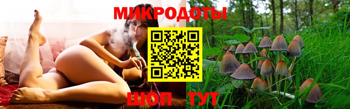 Псилоцибиновые грибы Cubensis Кохма